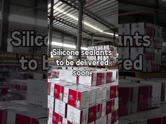 SILICONE SEALANT1 (el selante de silicona)