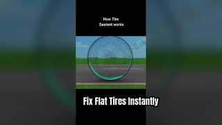 Sellador para el cuidado de neumáticos de automóvil